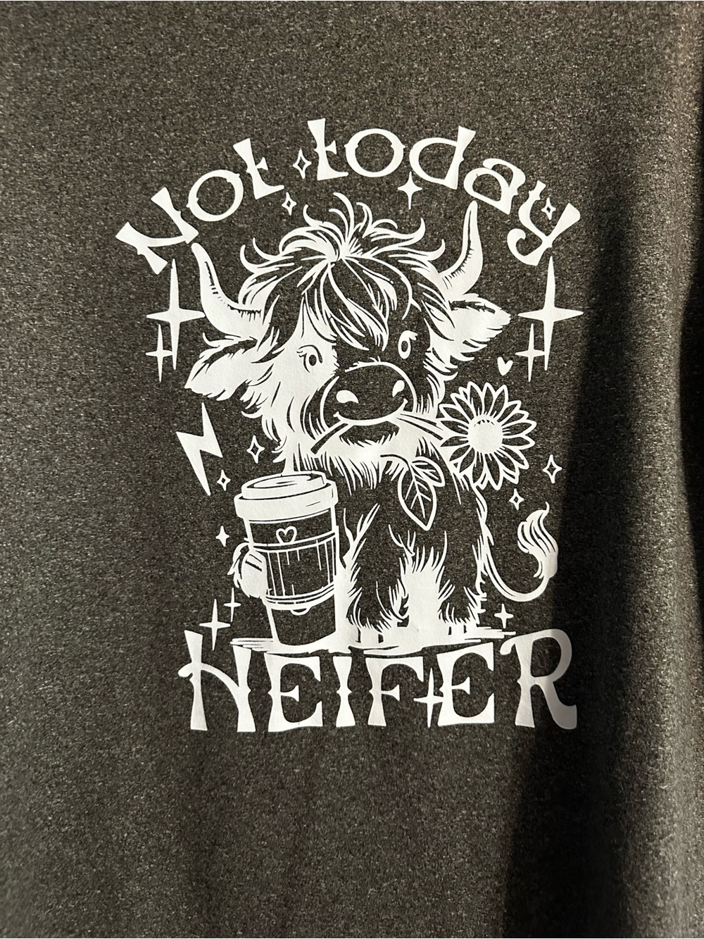 Women’s Heather Gray Graphic Crewneck T-Shirt